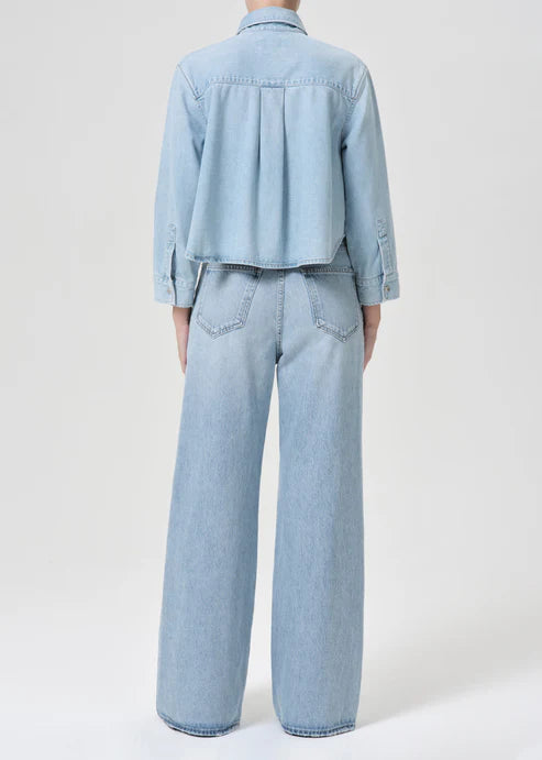 Agolde Dame Wideleg Jean